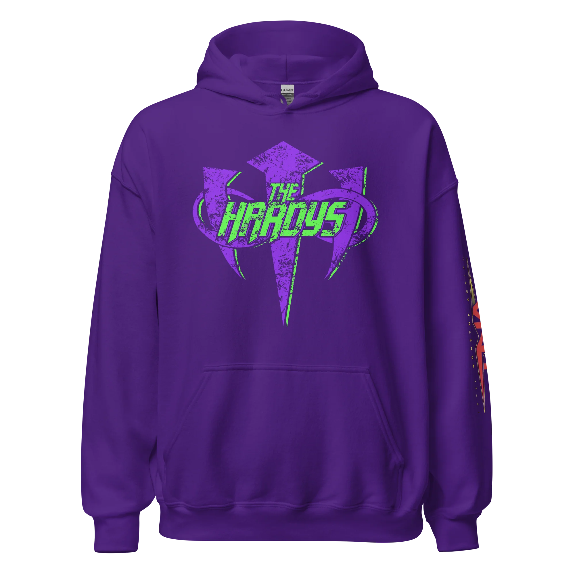 The Hardys "Distressed Infinity Logo" Hoodie - Image 3